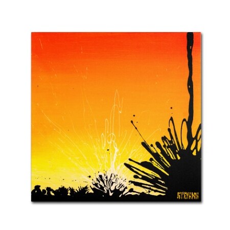 Trademark Fine Art Roderick Stevens 'Ocotillo Sunburst' Canvas Art, 14x14 RS908-C1414GG